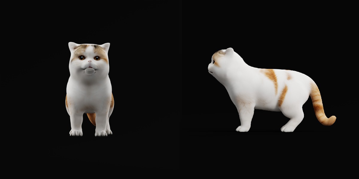 Exotic Shorthair Cat Low-poly 3D model_7