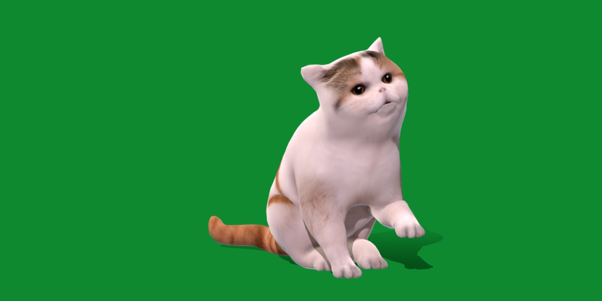 Exotic Shorthair Cat Low-poly 3D model_27