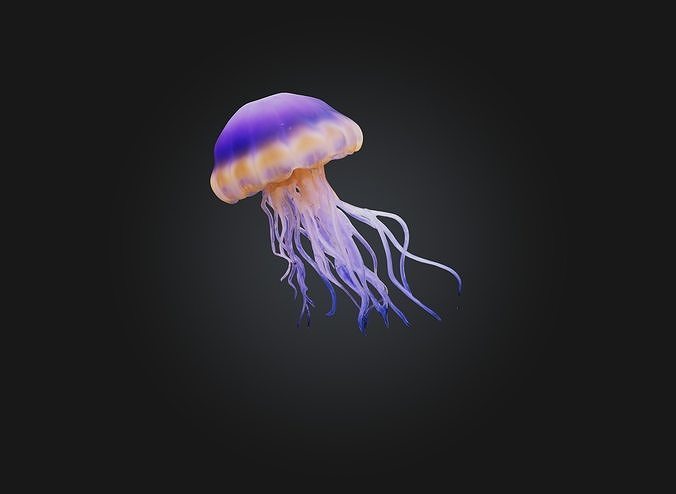 jellyfish Low-poly 3D model