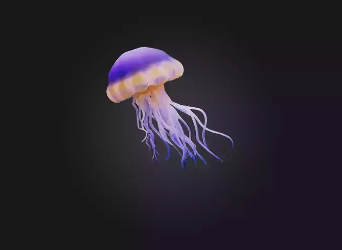 jellyfish