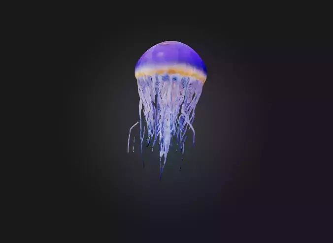 jellyfish model