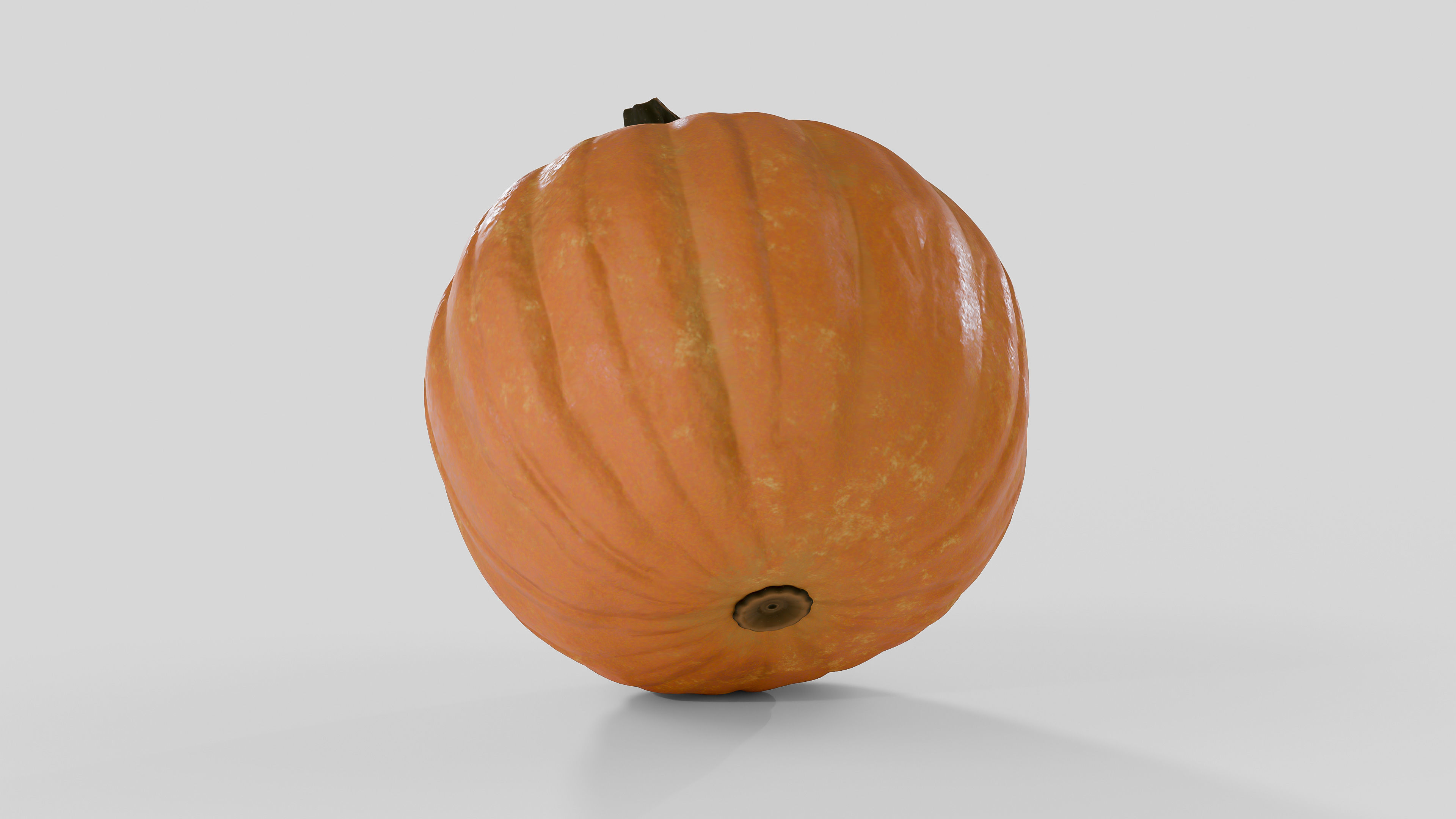 Realistic Pumpkin 3D Model 3D model_5