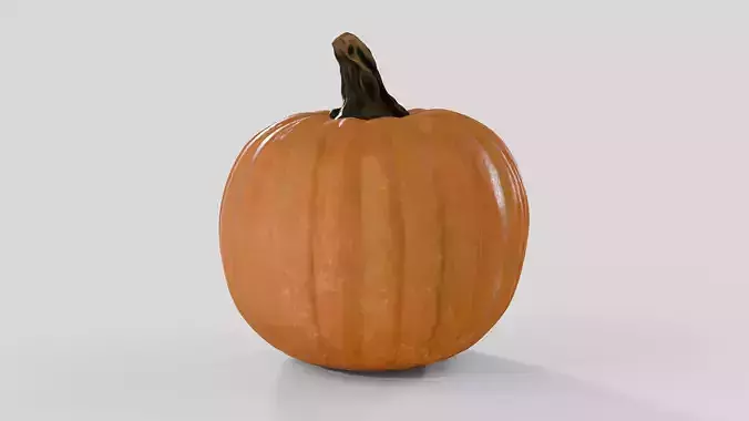 Realistic Pumpkin 3D Model 3D model