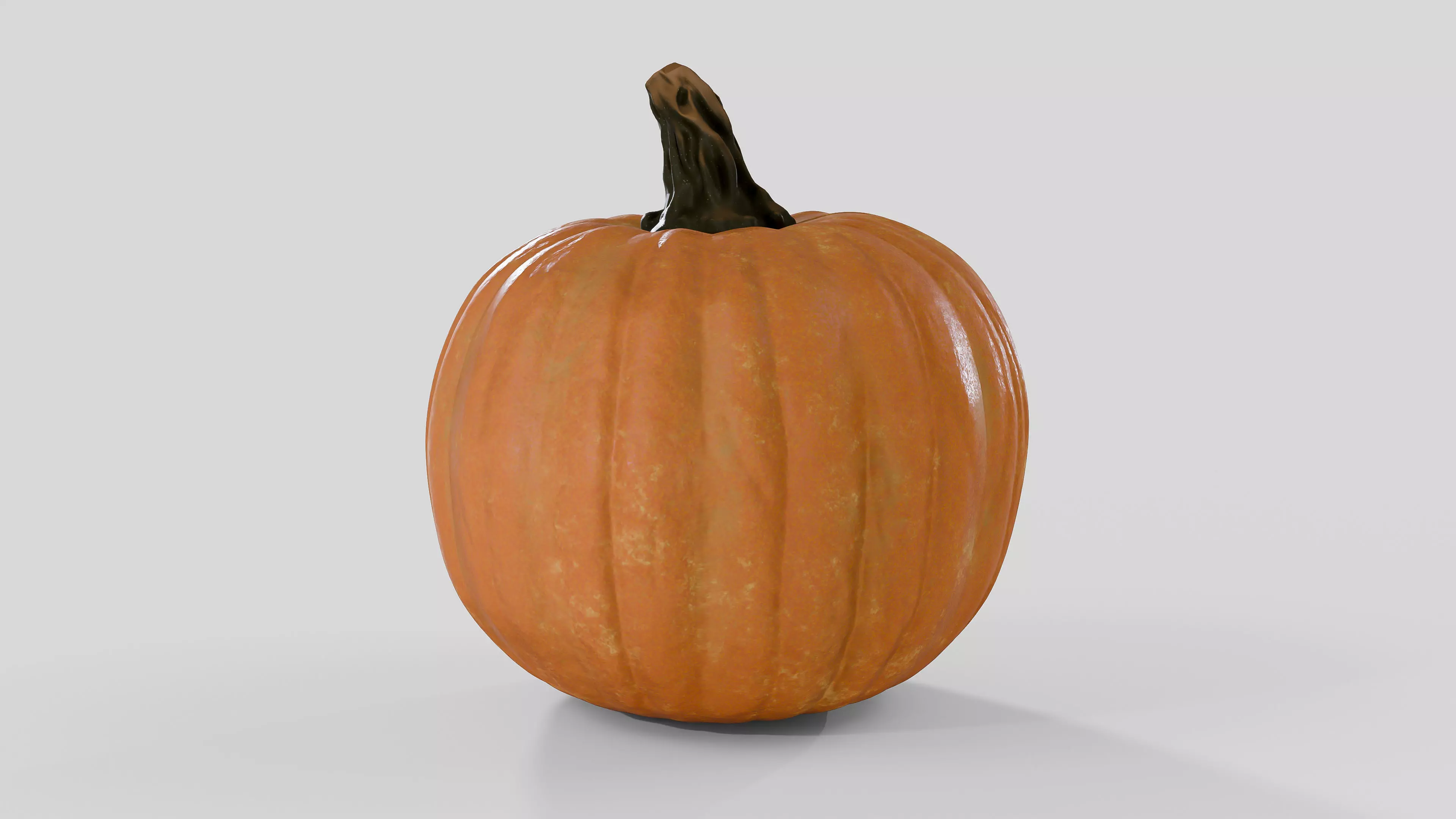 Realistic Pumpkin 3D Model 3D model_0