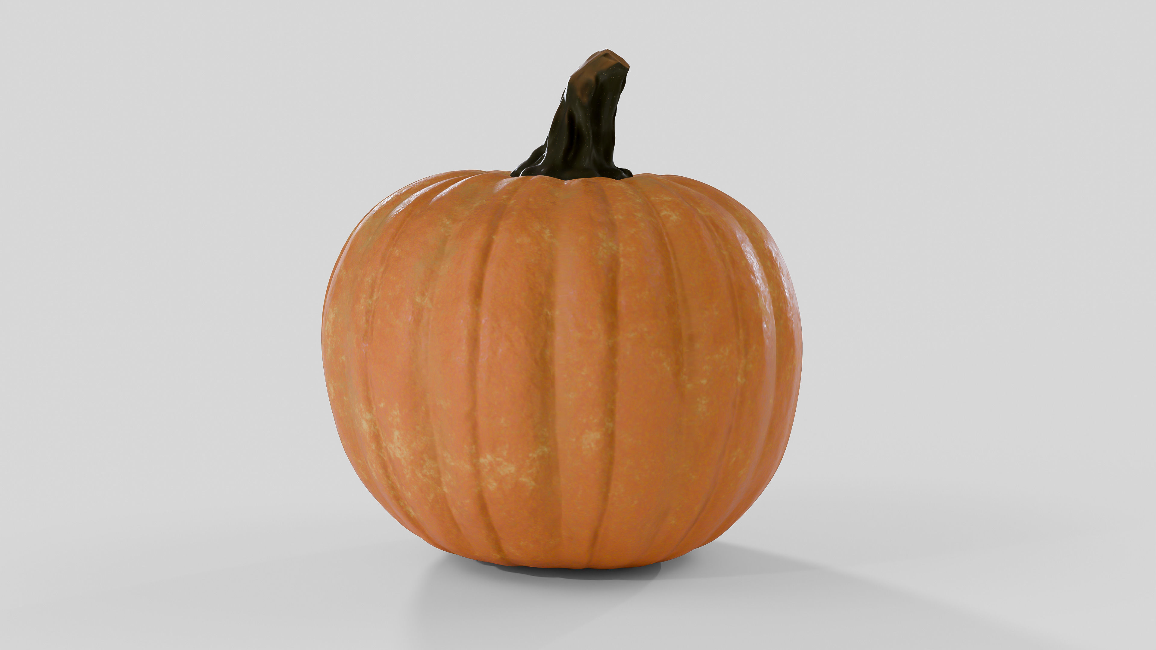 Realistic Pumpkin 3D Model 3D model_2