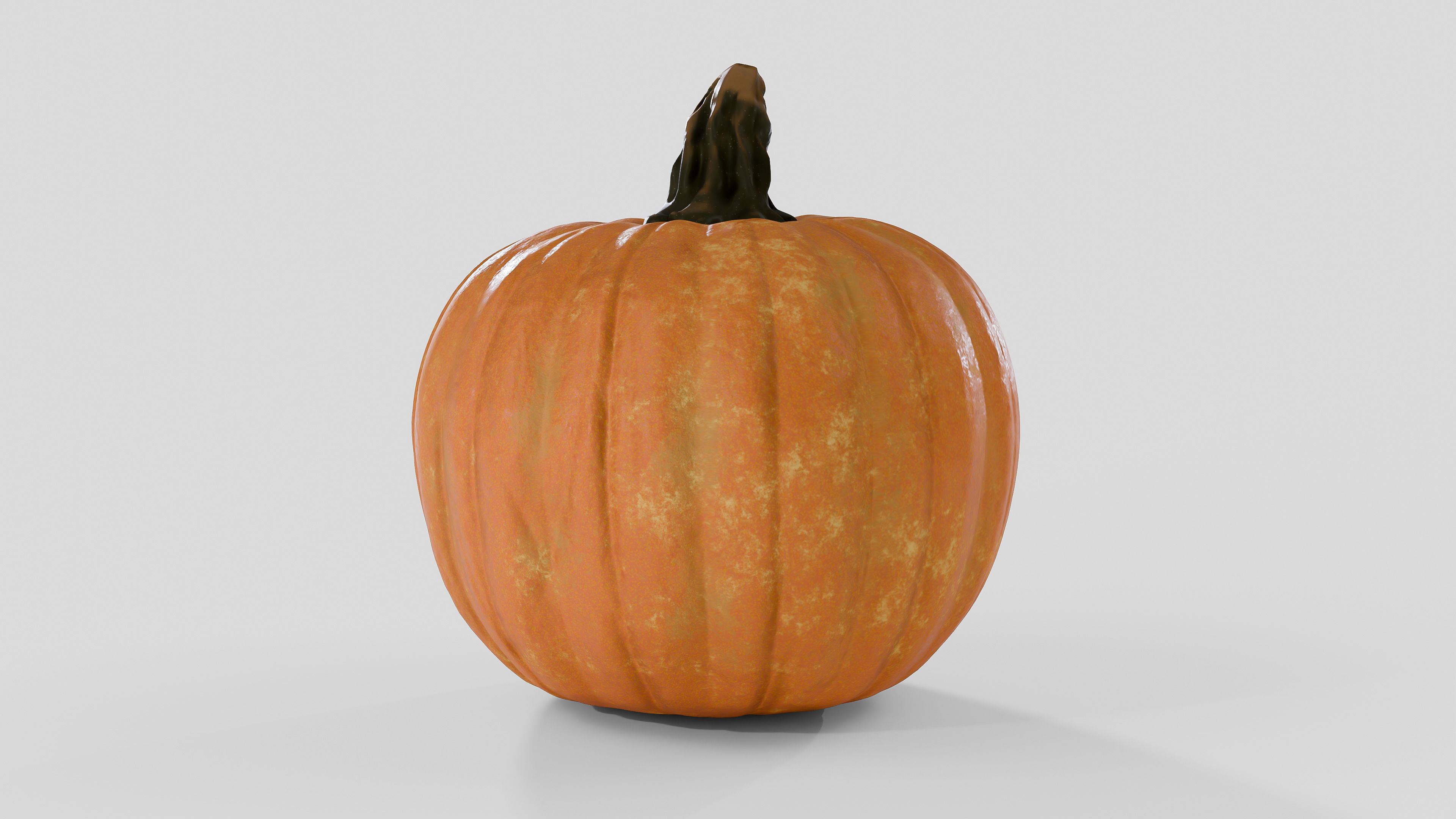 Realistic Pumpkin 3D Model 3D model_3