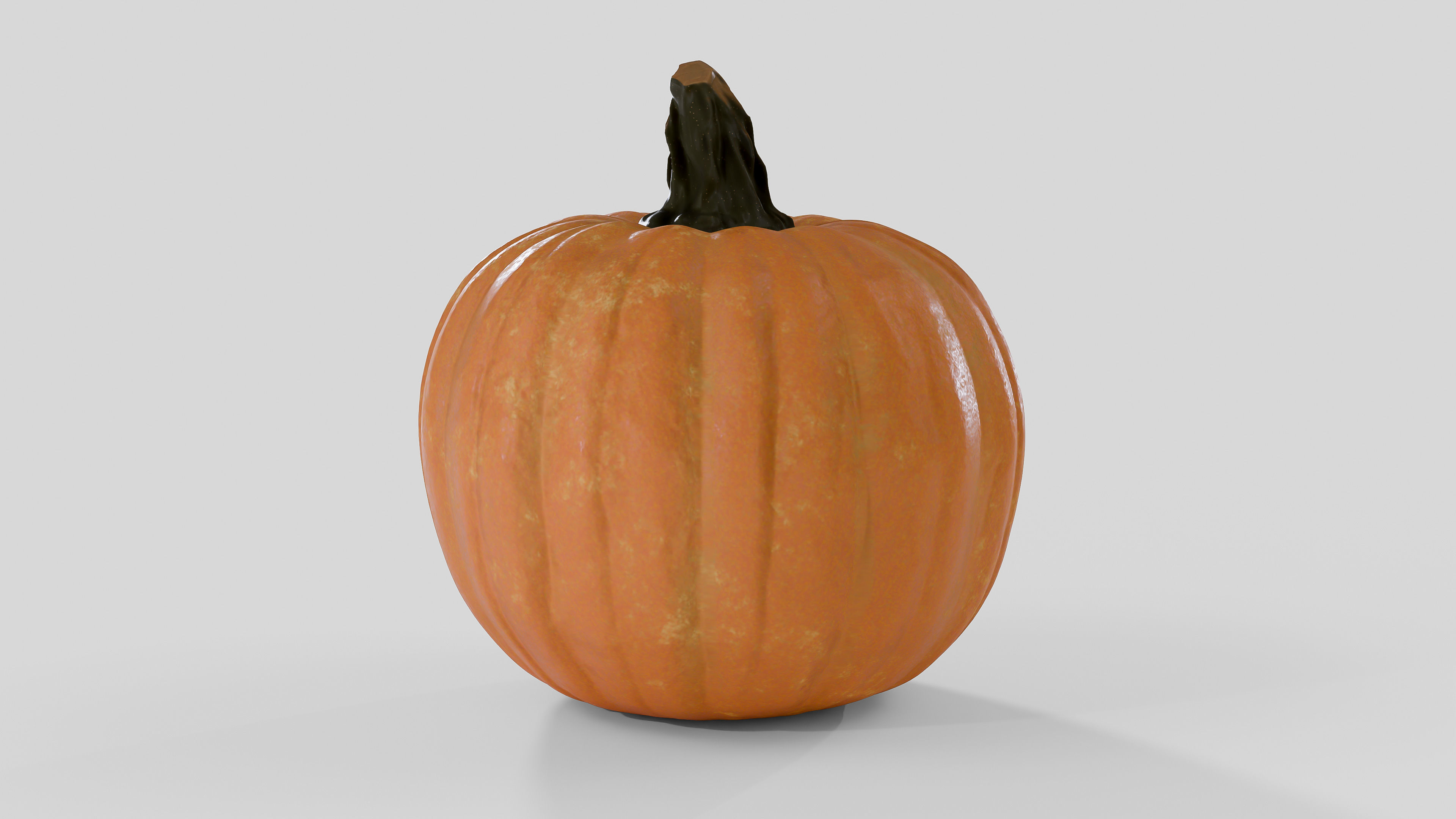 Realistic Pumpkin 3D Model 3D model_1