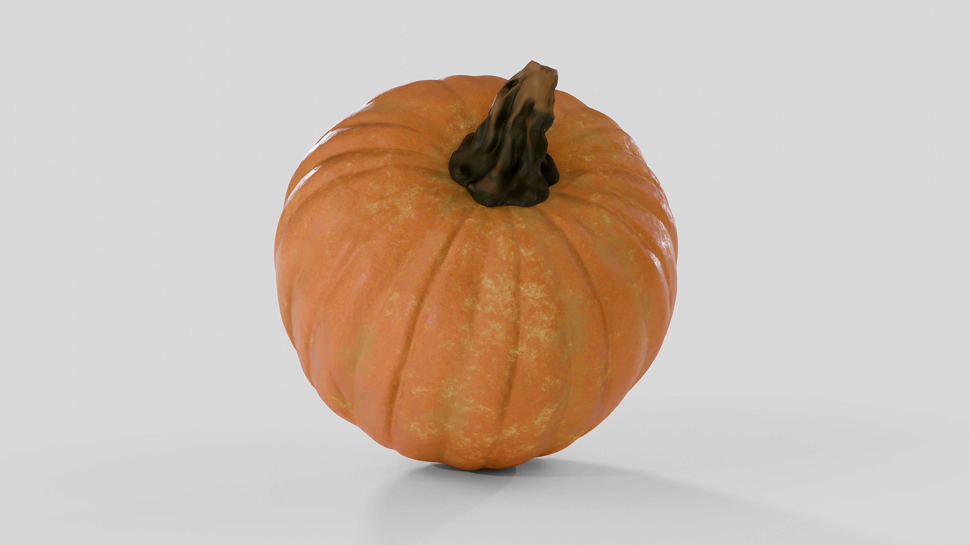 Realistic Pumpkin 3D Model 3D model_4