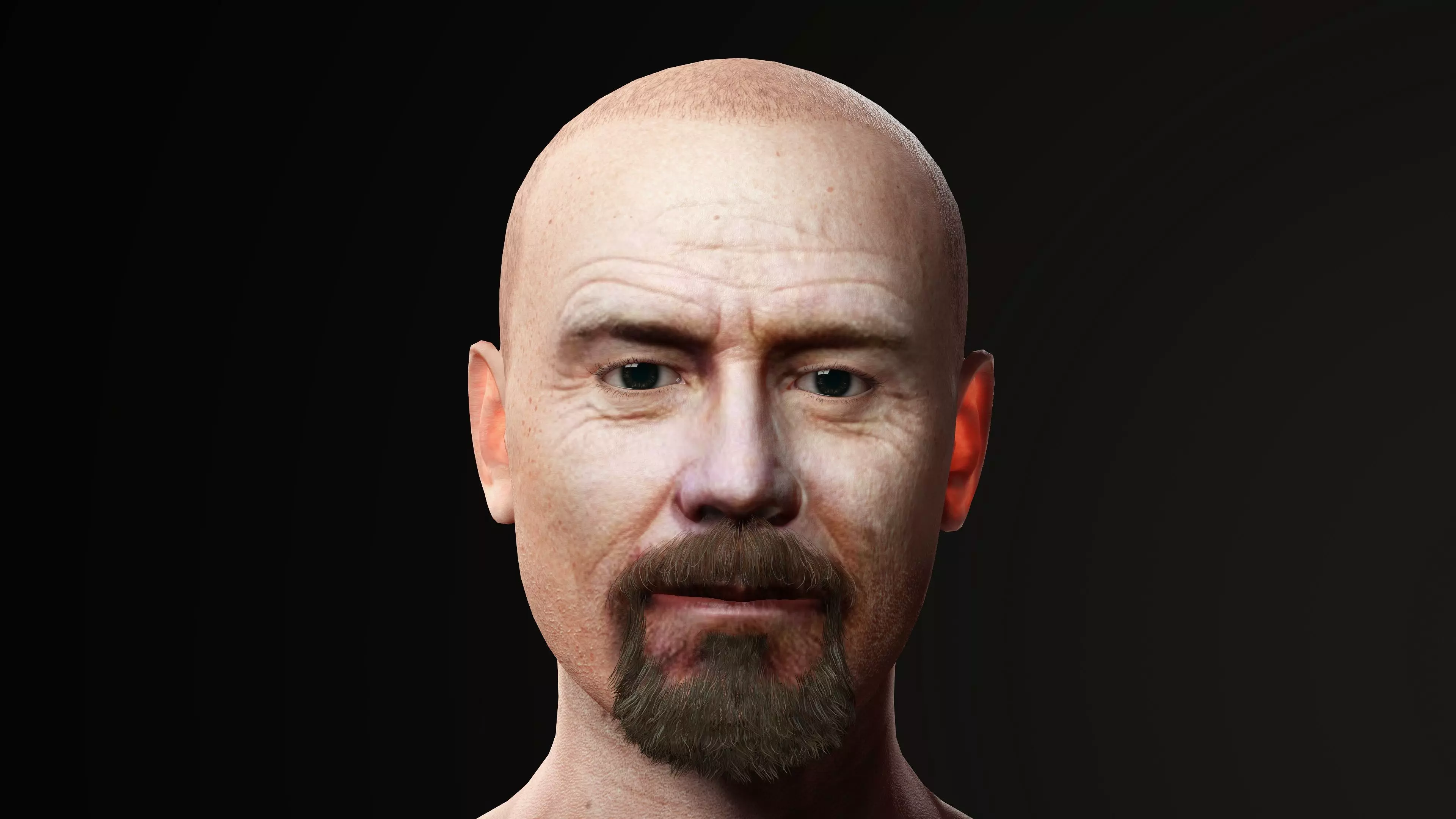 Walter White Free 3D model