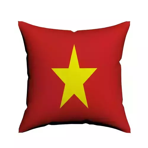 Vietnam flag pillow