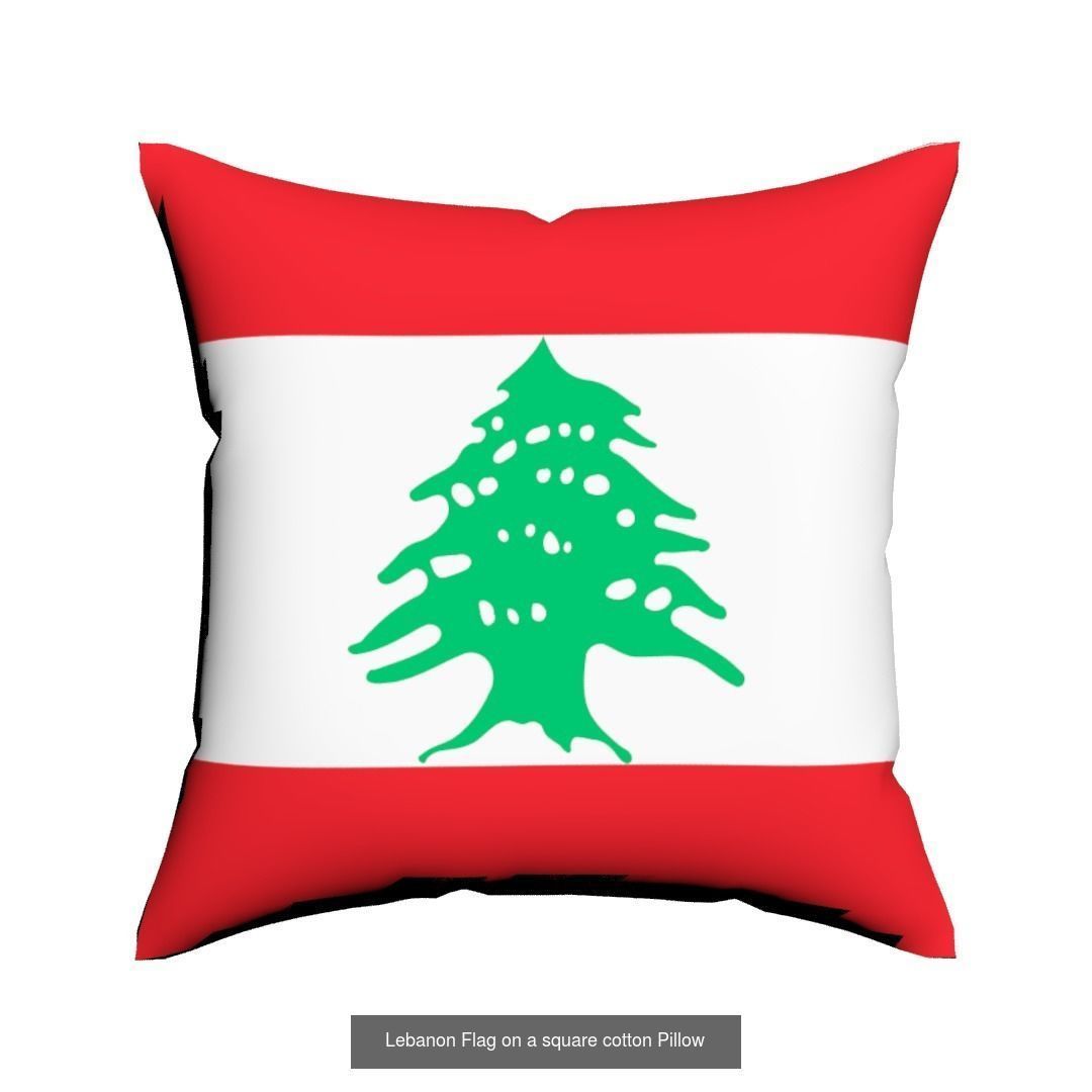 World countries flags Pillows 3D Model Collection_6