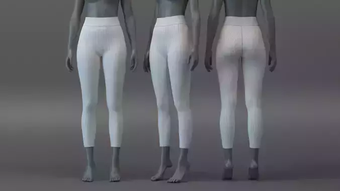 No Camel Toe Stripe Leggings