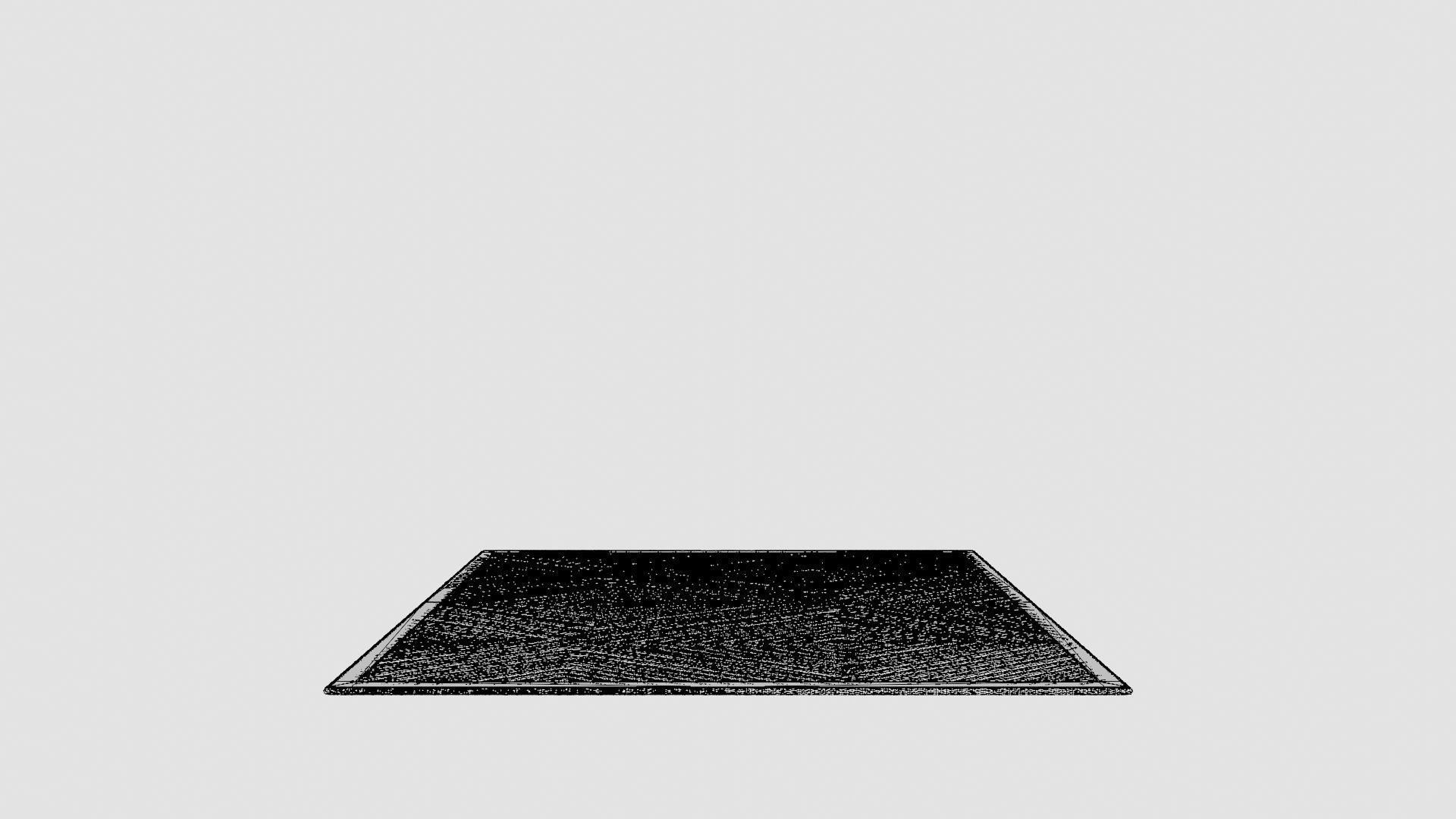 Rug 100x160 Low-poly 3D model_8