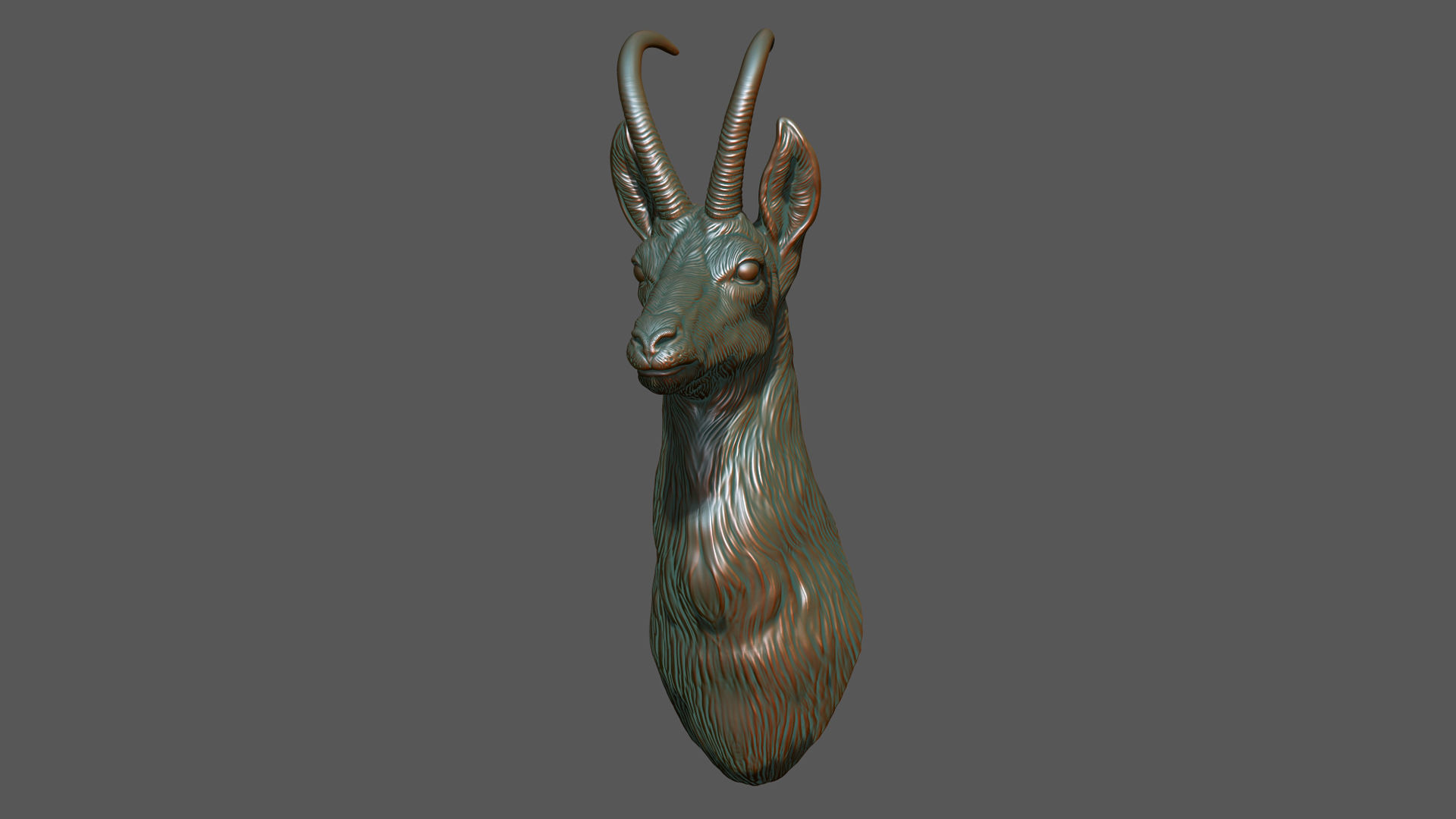 Alpine chamois bust 3D print model_2