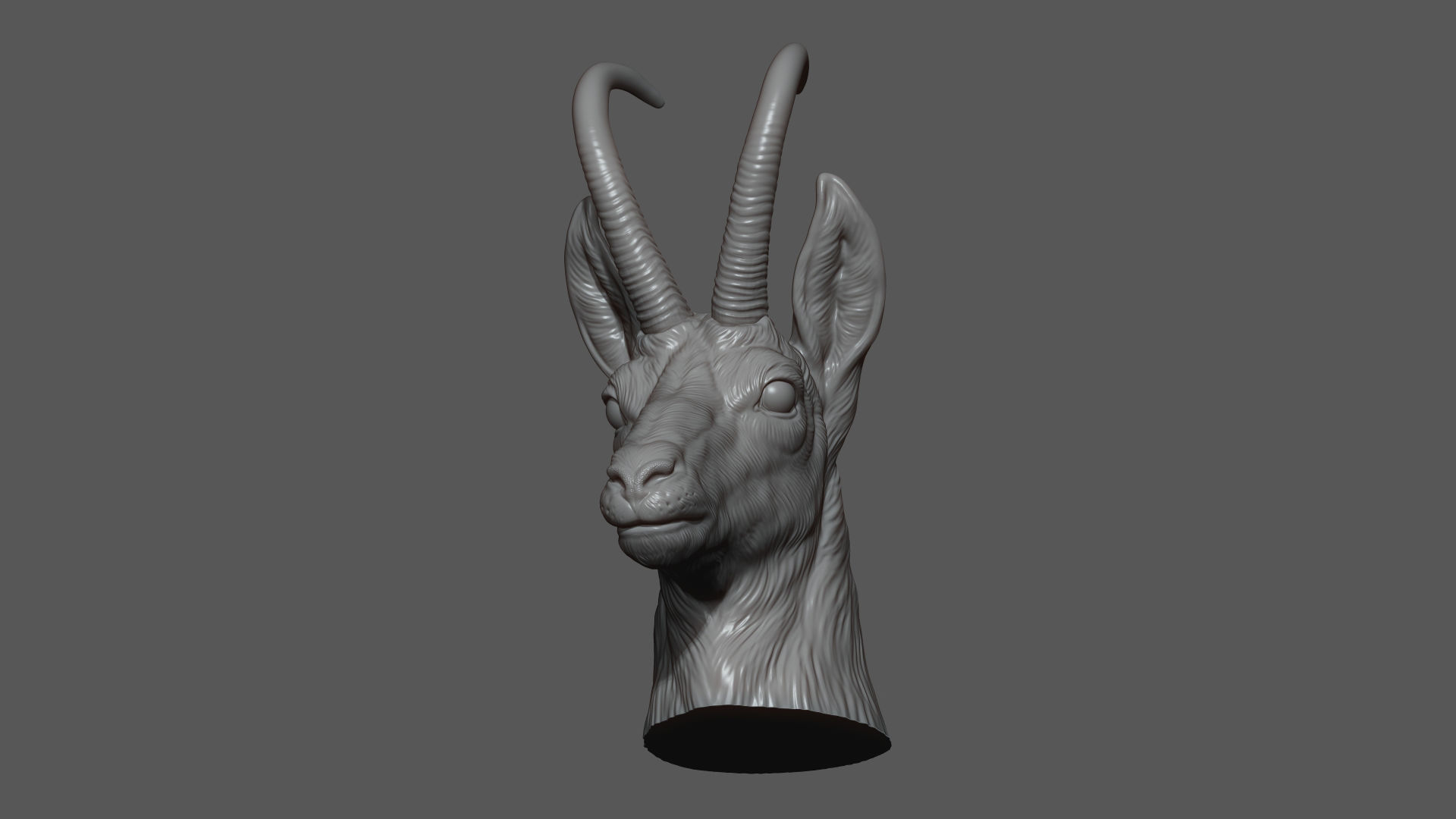 Alpine chamois bust 3D print model_9