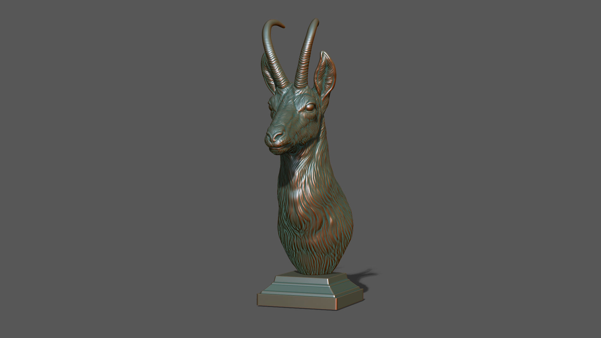 Alpine chamois bust 3D print model_19