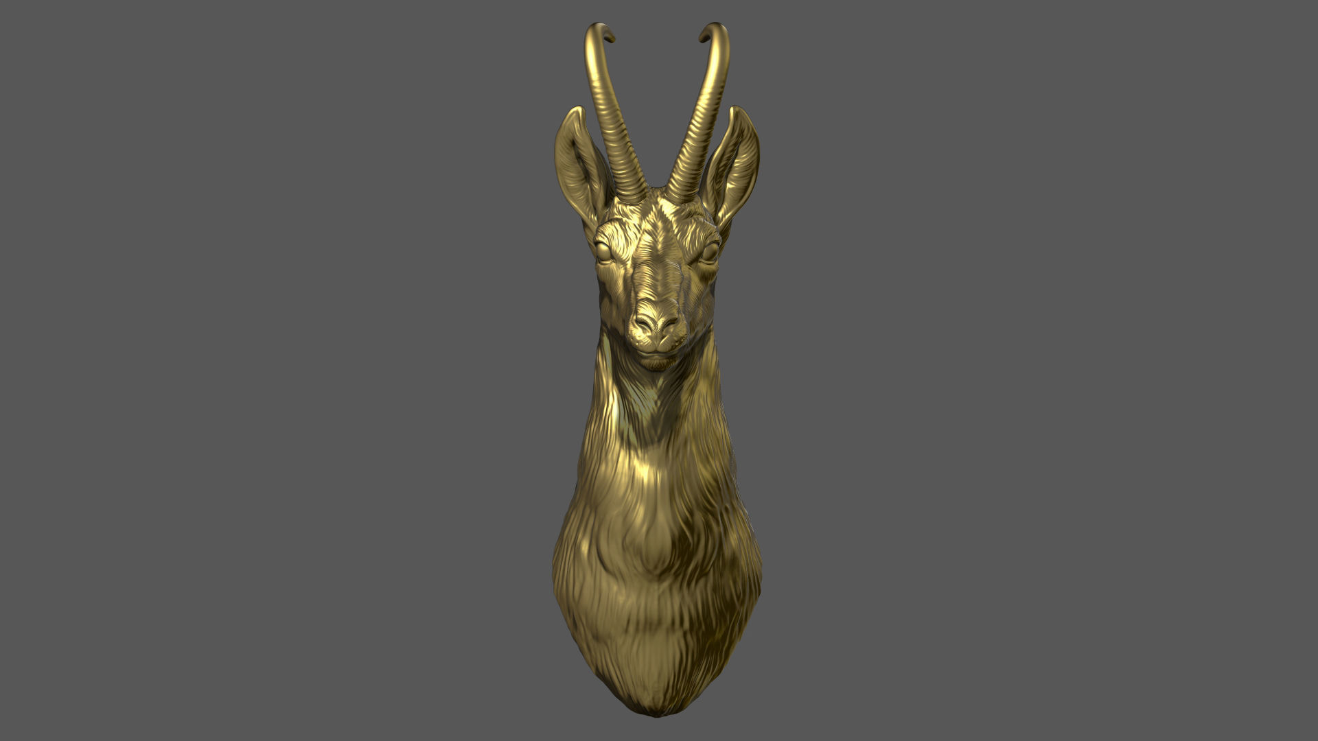 Alpine chamois bust 3D print model_3