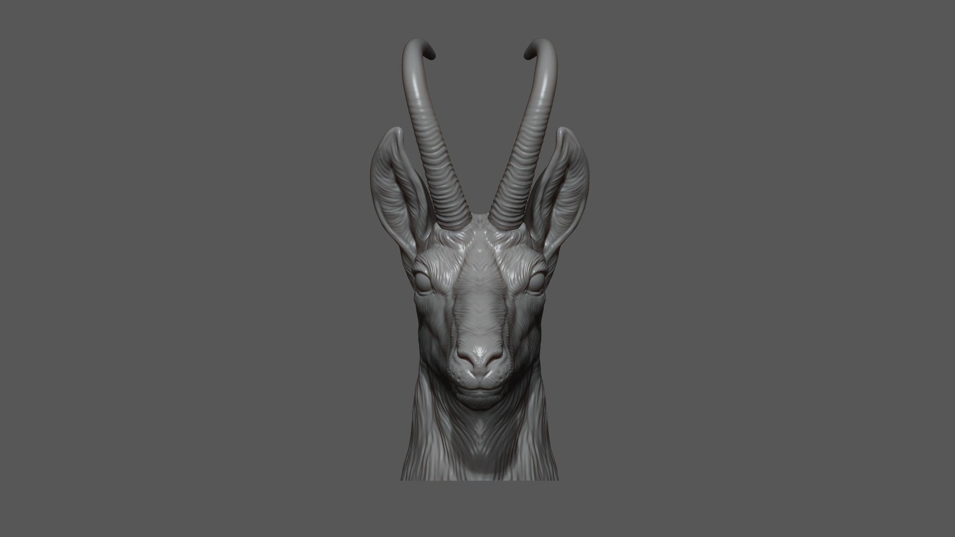 Alpine chamois bust 3D print model_7