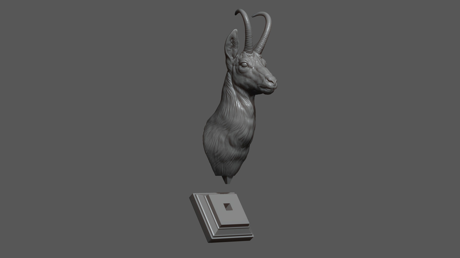 Alpine chamois bust 3D print model_15