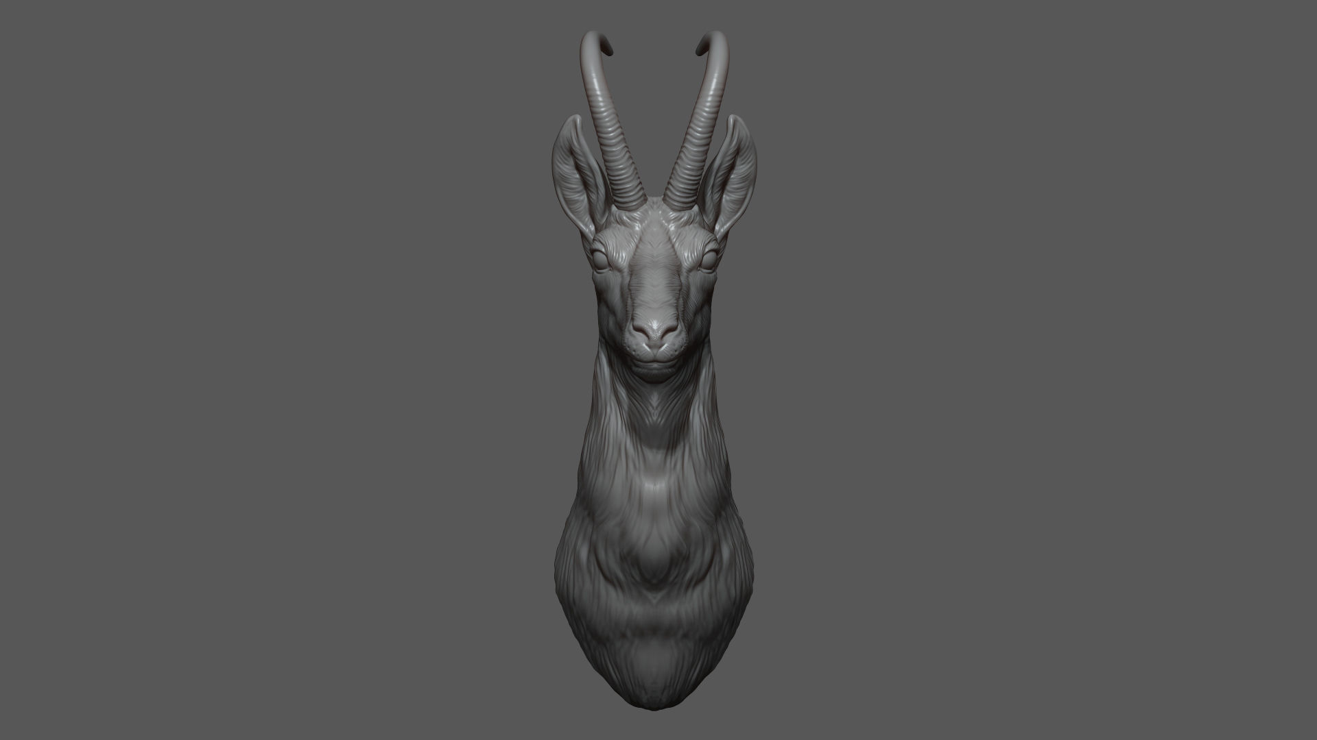 Alpine chamois bust 3D print model_5