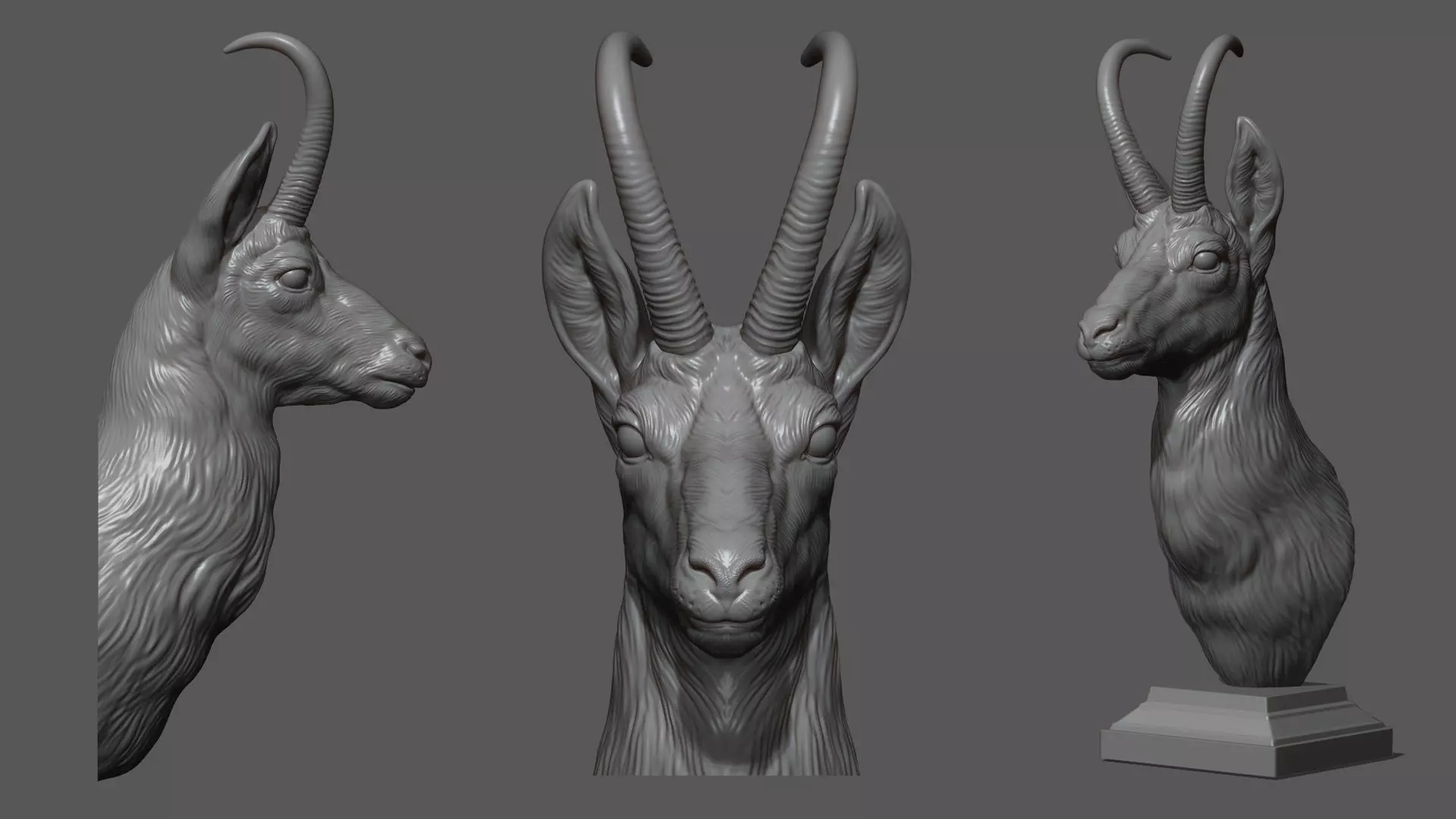 Alpine chamois bust 3D print model_0