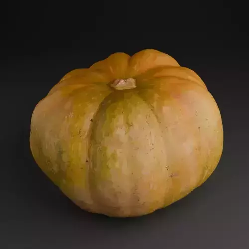 Pumpkin