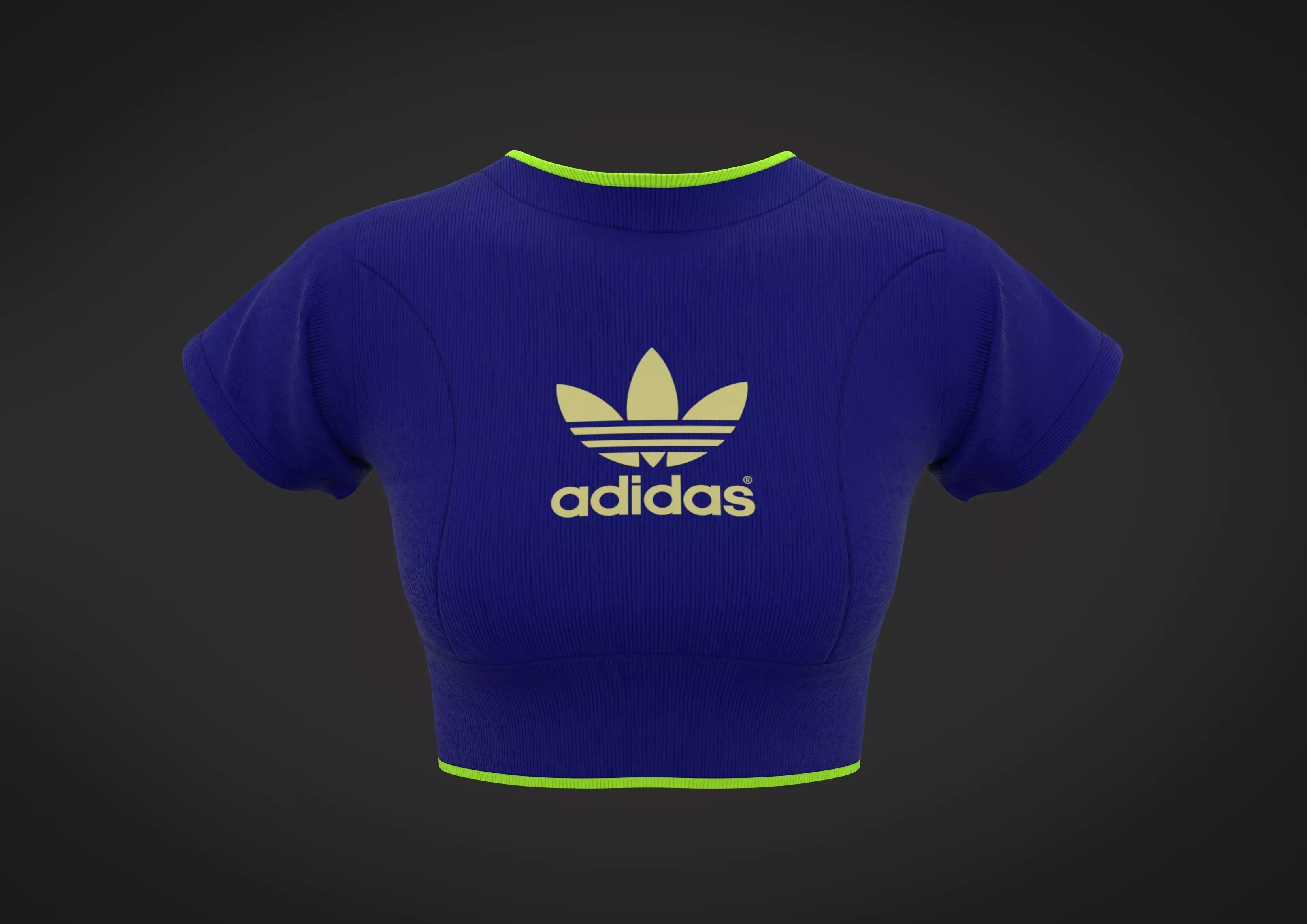 crop top Free 3D model