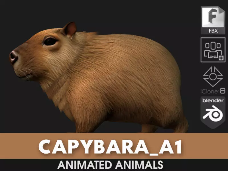 Capybara-A1 3D model