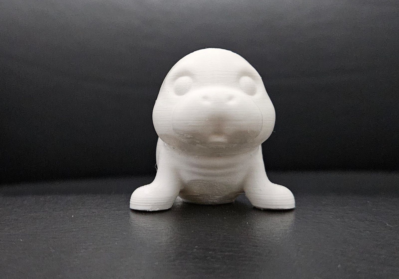Little Manatee 3D print model_12