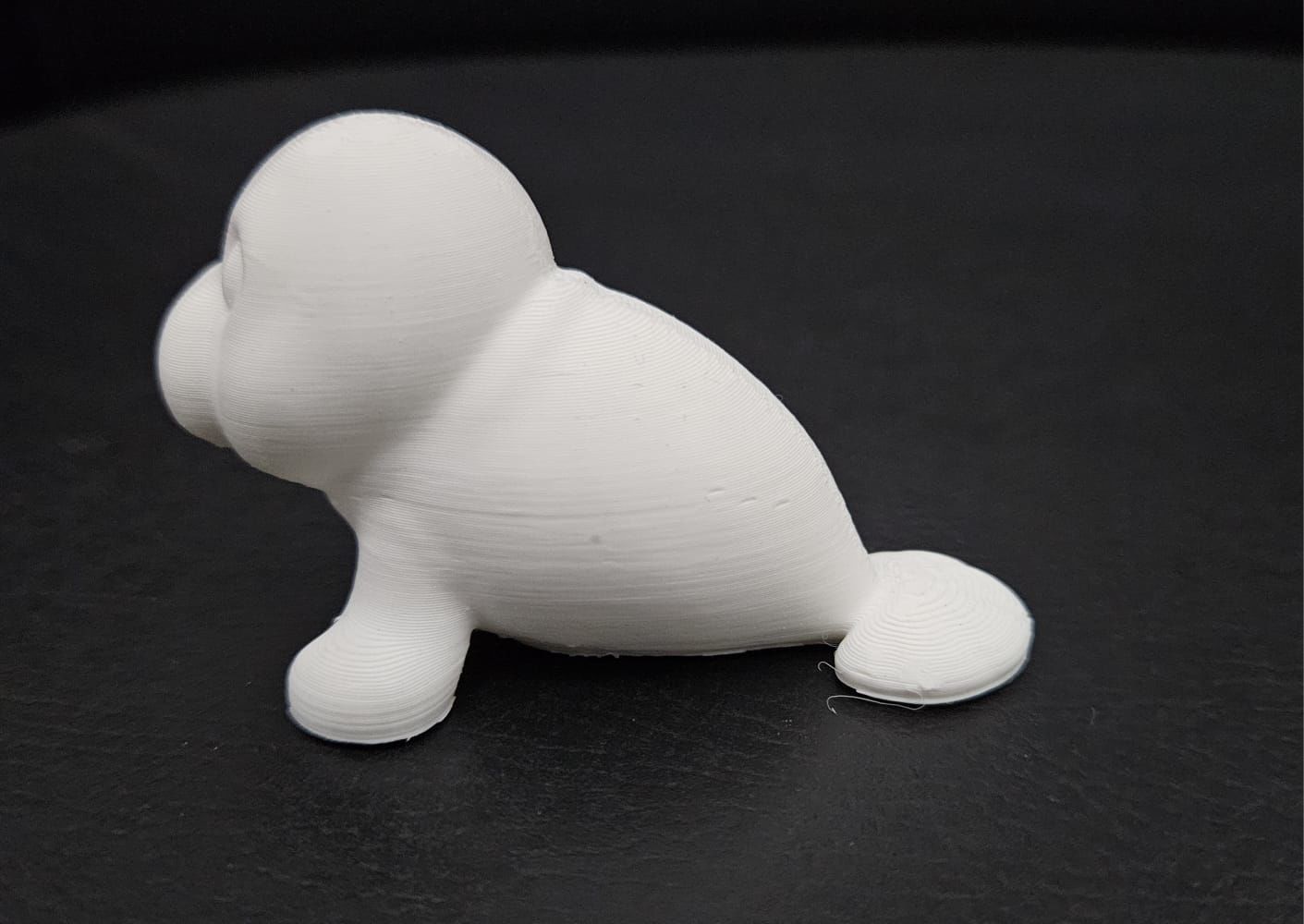 Little Manatee 3D print model_10