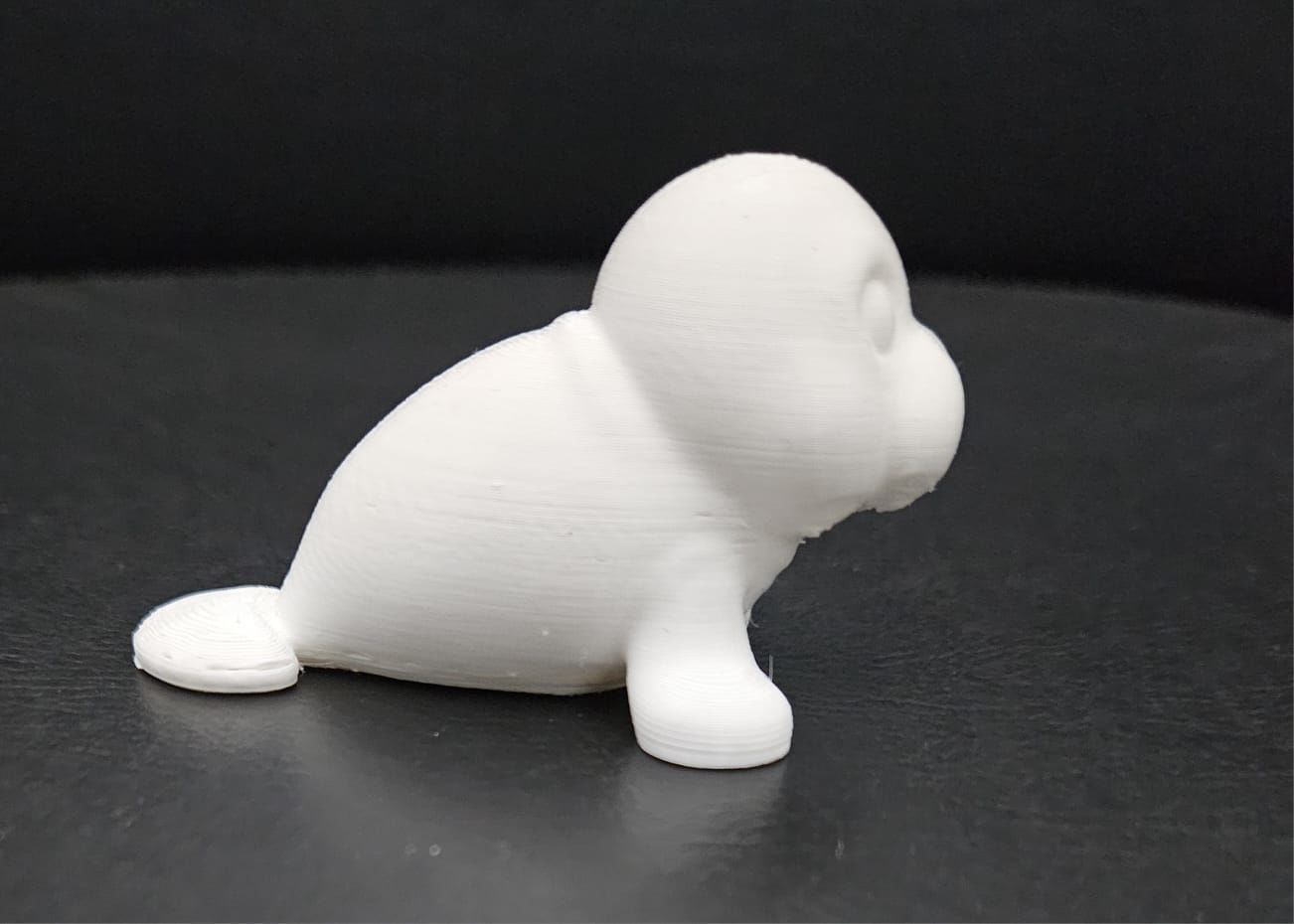 Little Manatee 3D print model_6