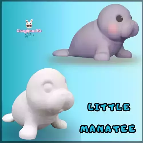 Little Manatee