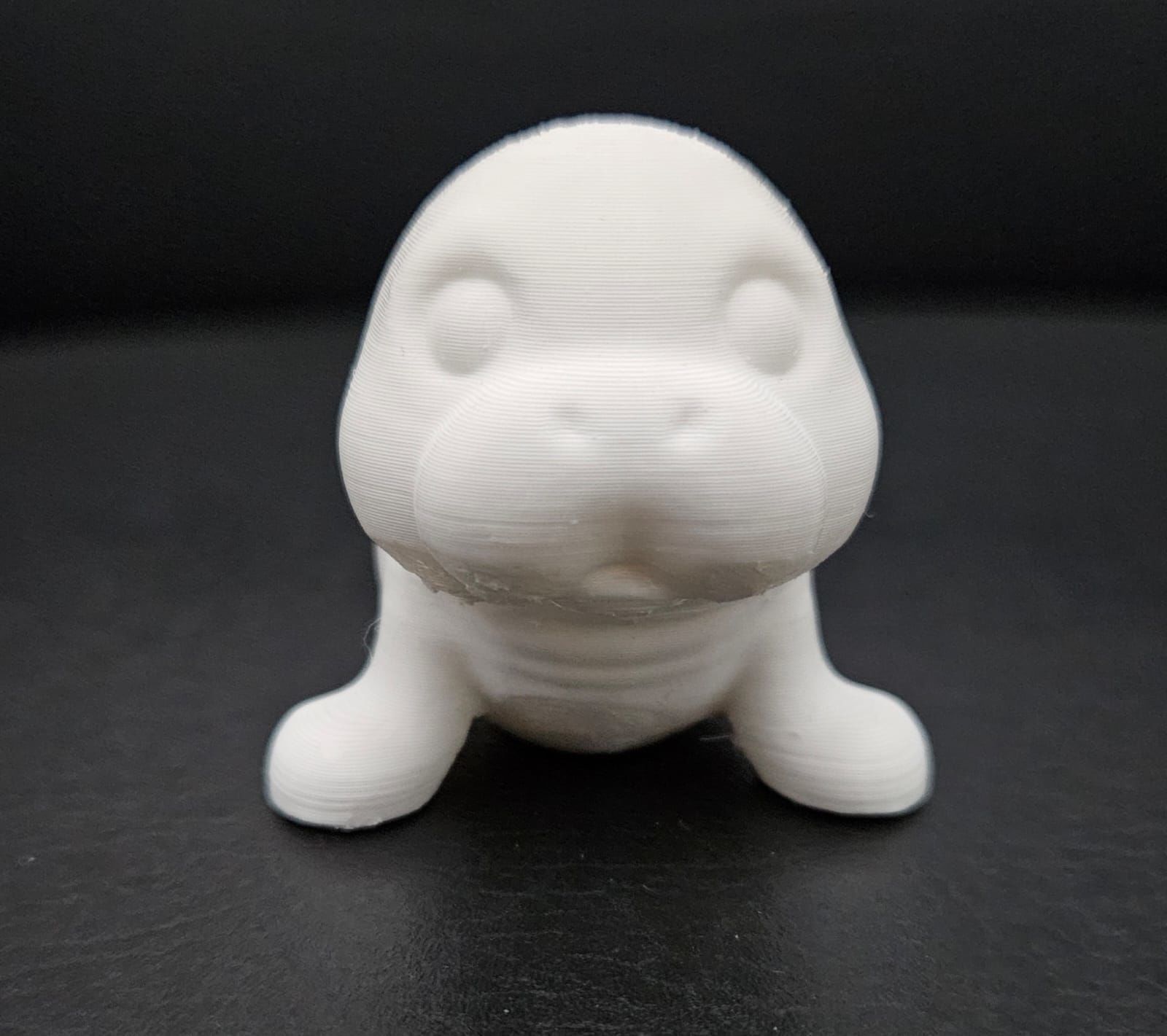 Little Manatee 3D print model_5