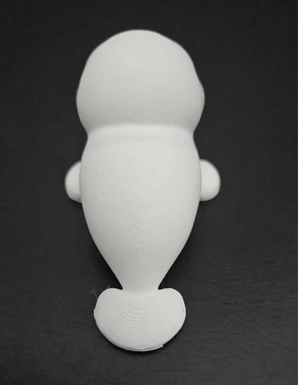 Little Manatee 3D print model_8
