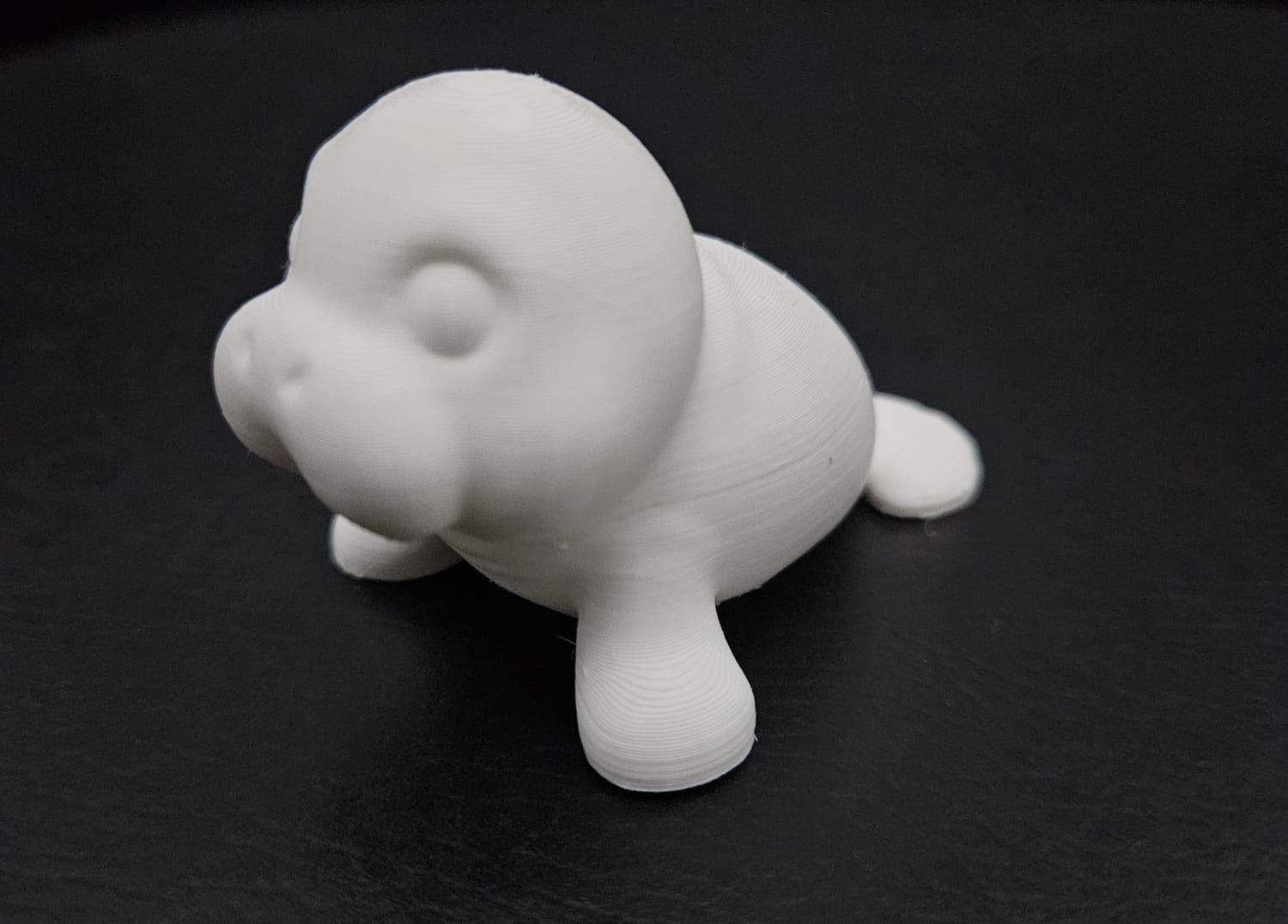 Little Manatee 3D print model_11