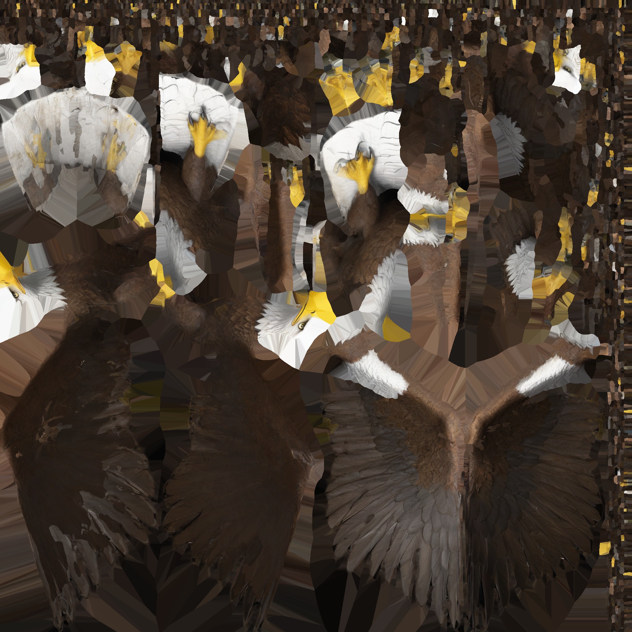 Bald Eagle 3D Model obj fbx blend mtl 3D model_15