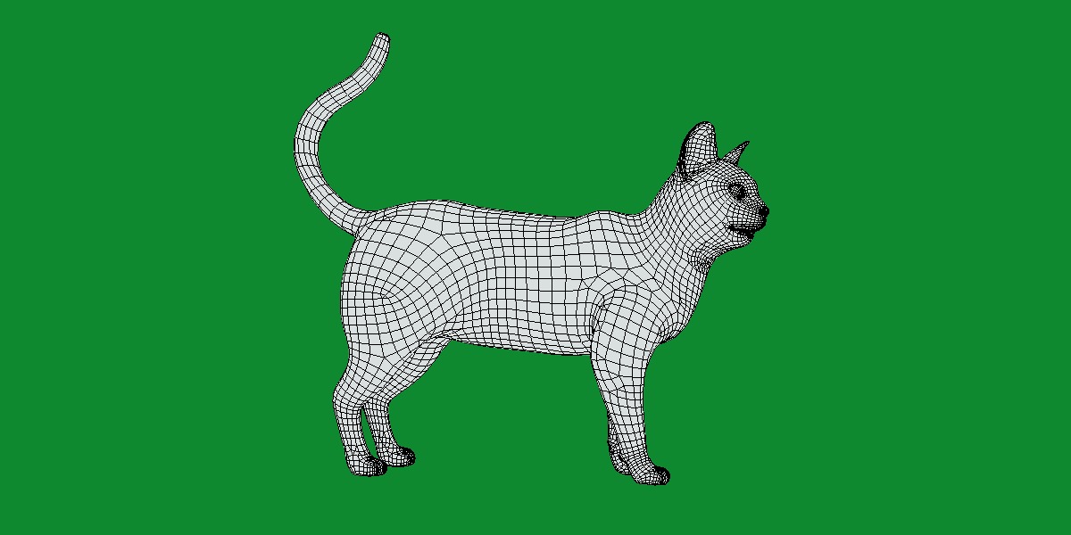 Ocicat Low-poly 3D model_13