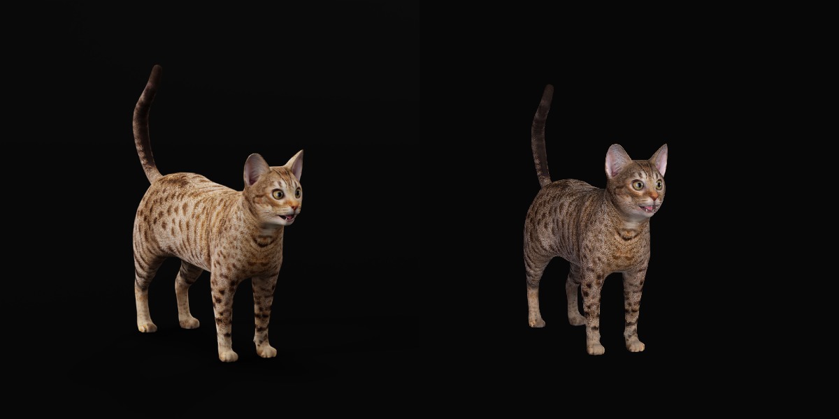 Ocicat Low-poly 3D model_7