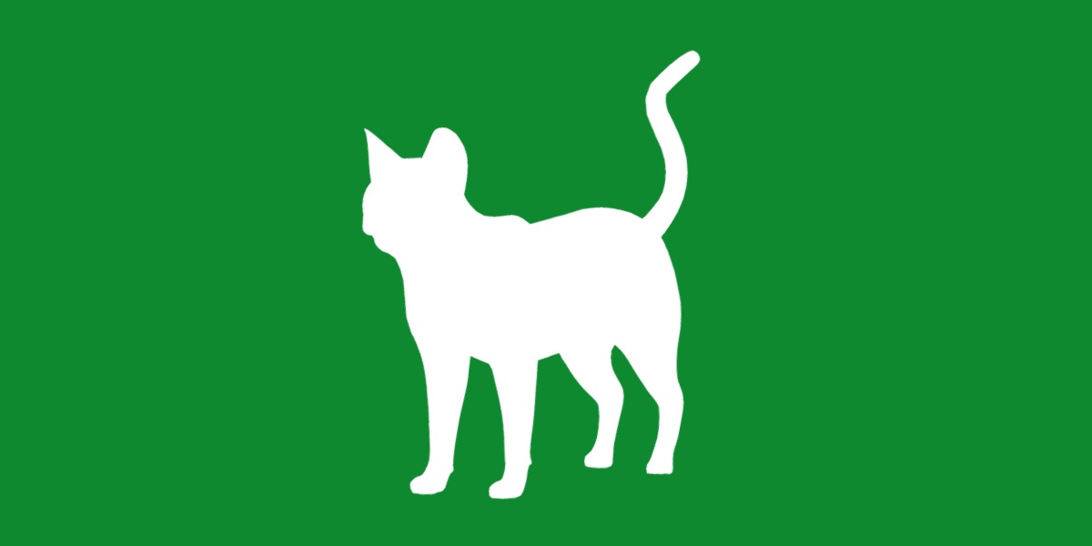 Ocicat Low-poly 3D model_26