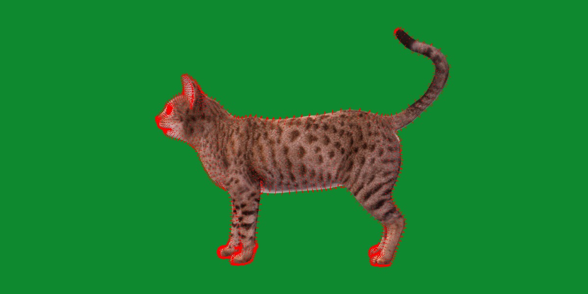 Ocicat Low-poly 3D model_15