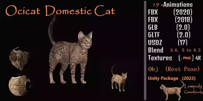 Ocicat