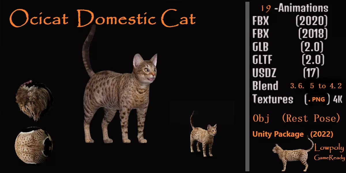 Ocicat Low-poly 3D model_0