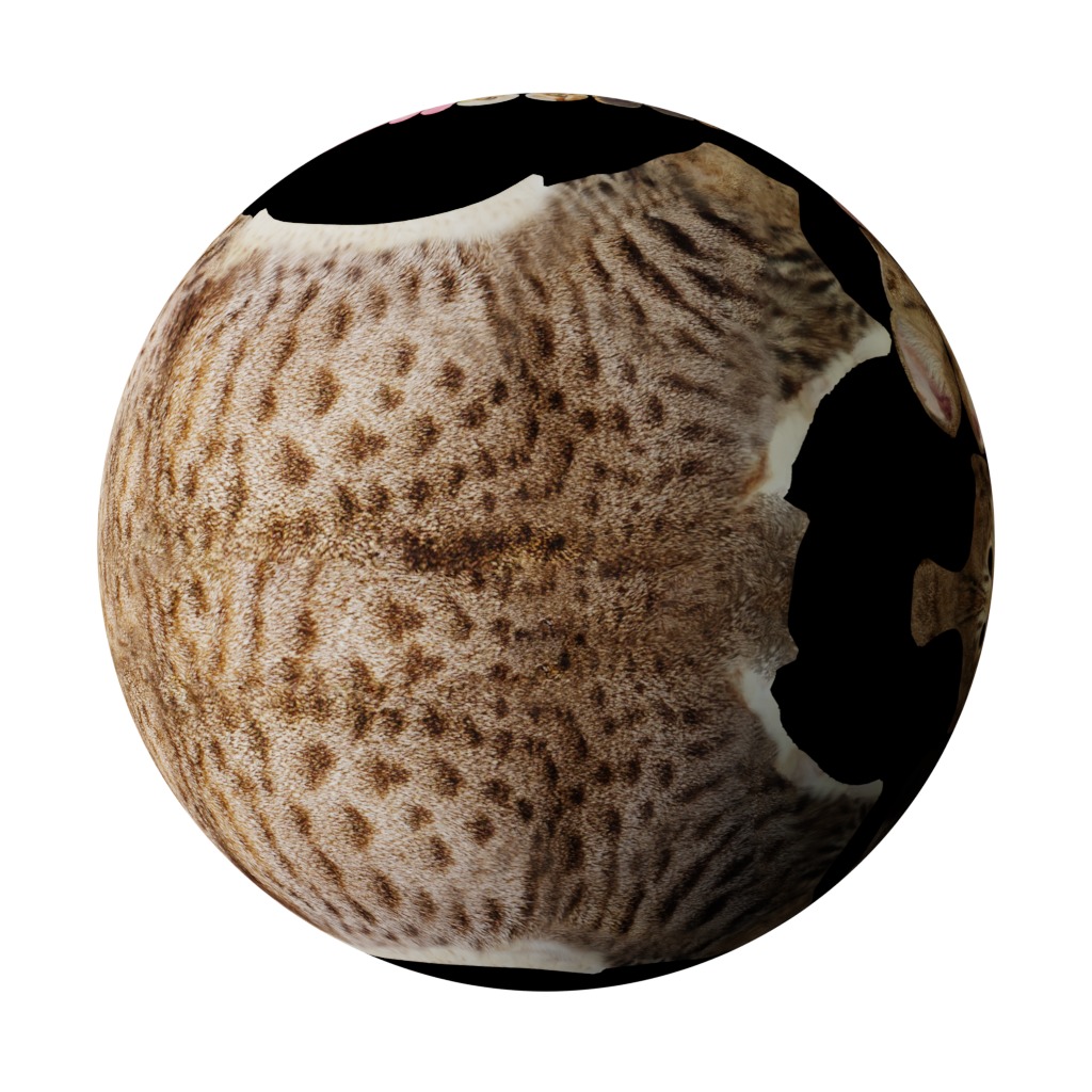 Ocicat Low-poly 3D model_29