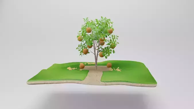 Orange Tree
