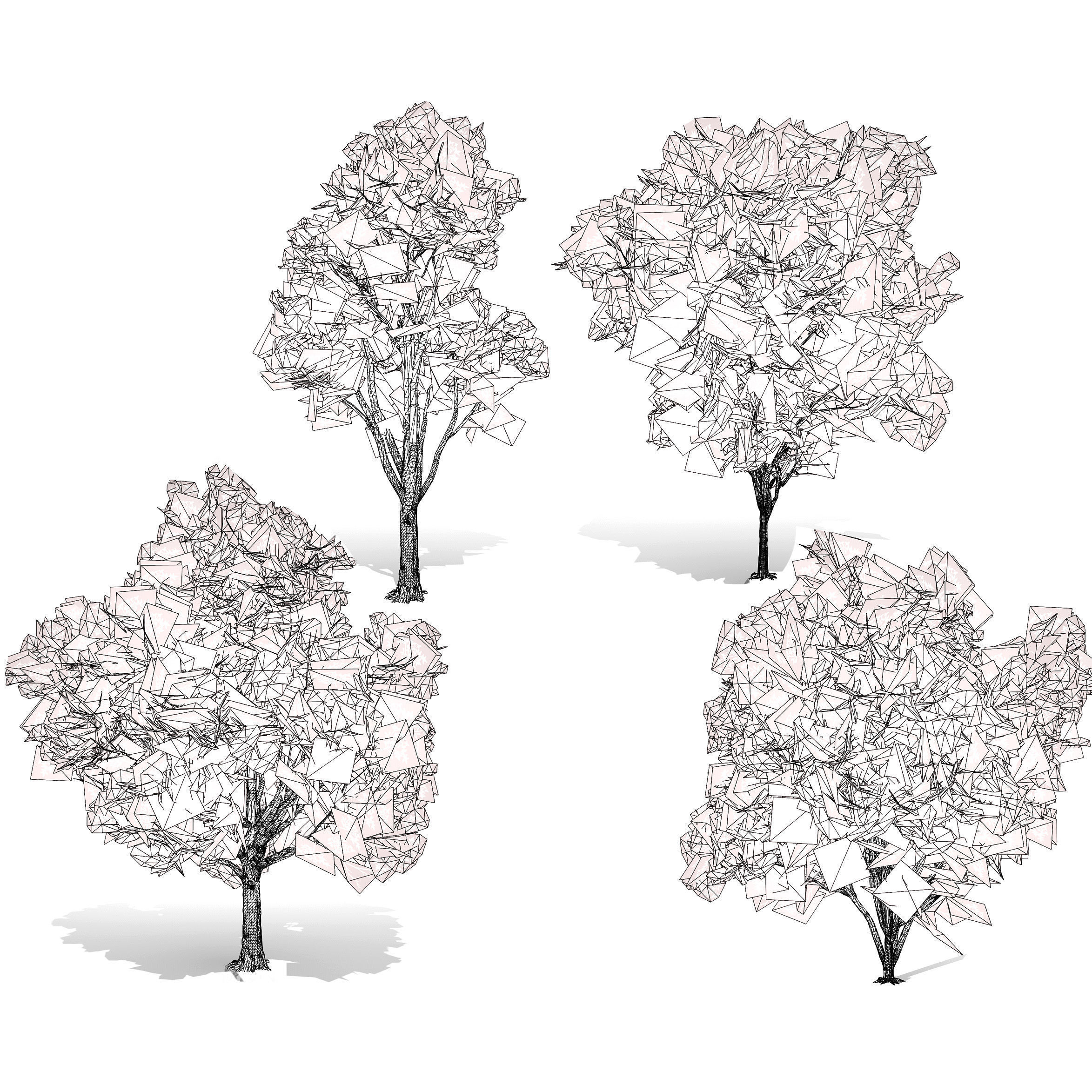 Burma Padauk Trees 3D Low-poly 3D model_9