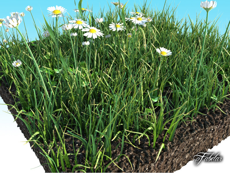 Grass patch 04 3D model_1