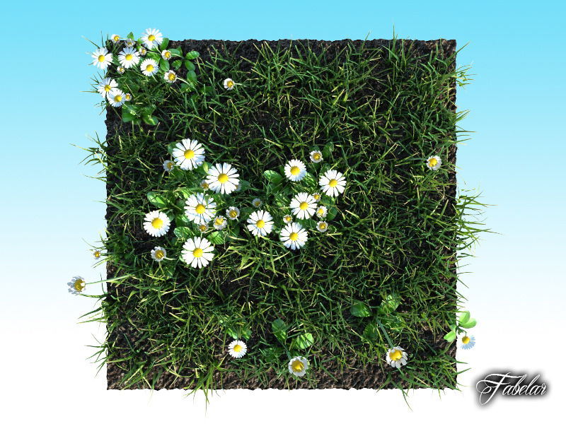 Grass patch 04 3D model_2