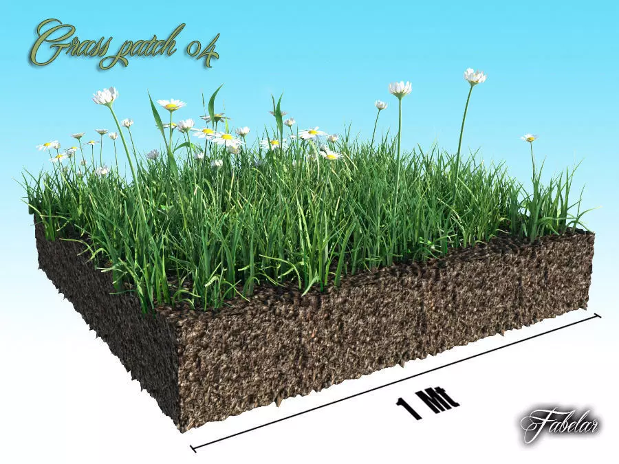 Grass patch 04 3D model_0