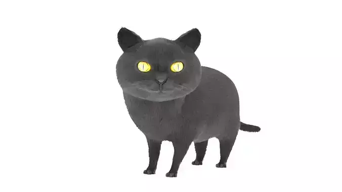 Cat 3D Model Rigged and Animated British Shorthair