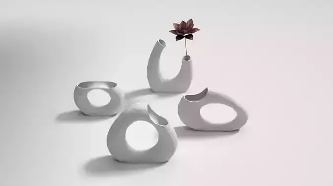 Organic Modern Vase a2